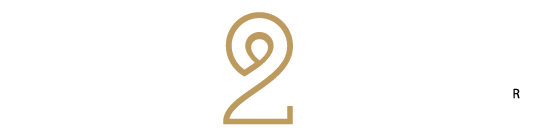 logo log2save